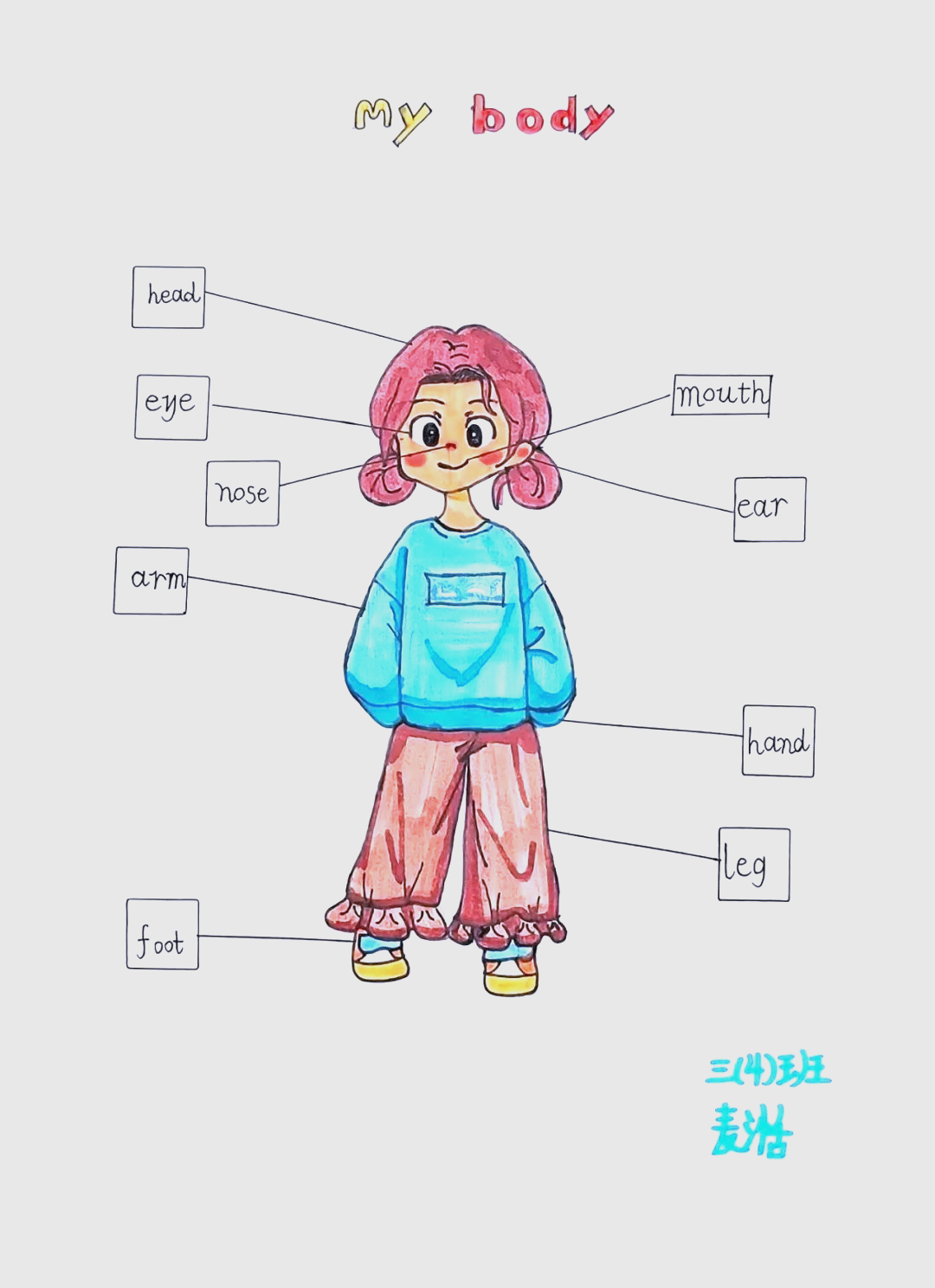 实小学子英语寒假作业精彩展,全视角诠释学习乐趣
