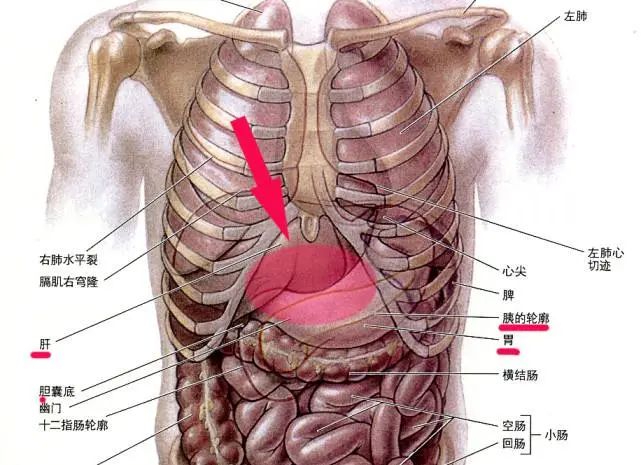 正心口窝有个硬块图片图片