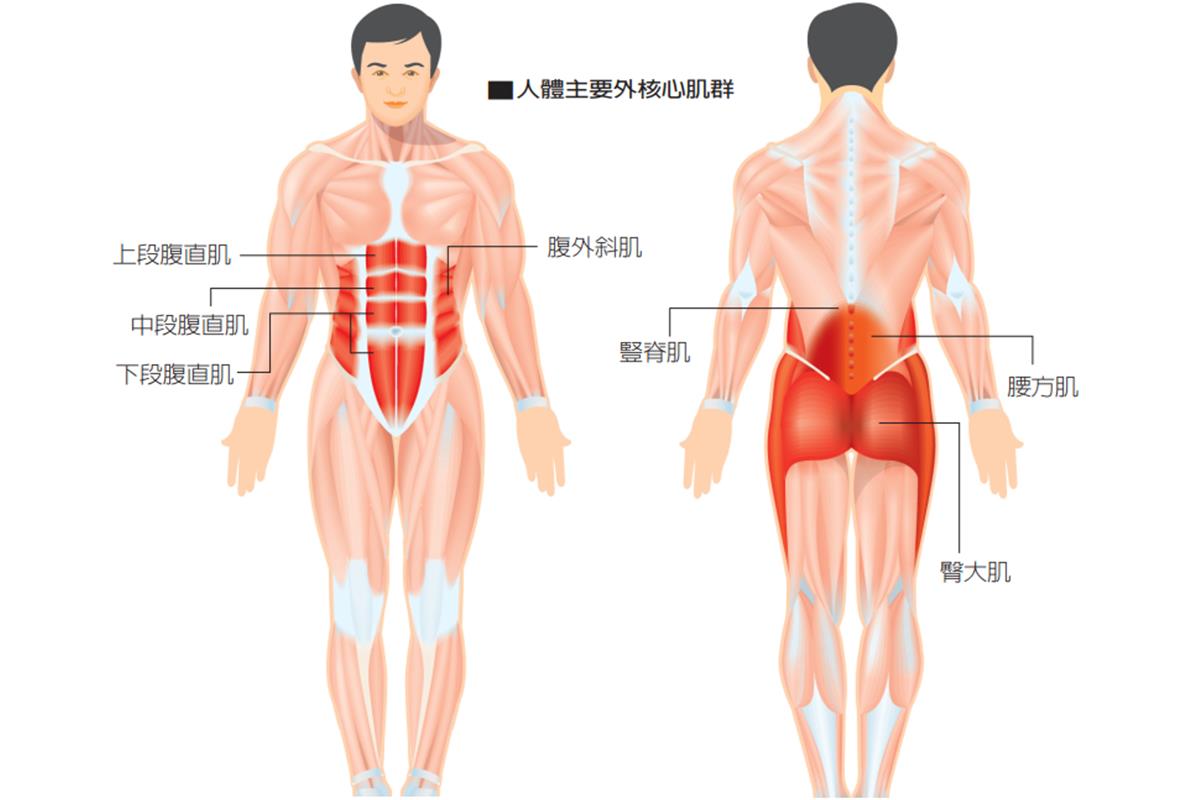 你需要了解核心肌群对健康的重要性适合老年人的最佳核心锻炼动作