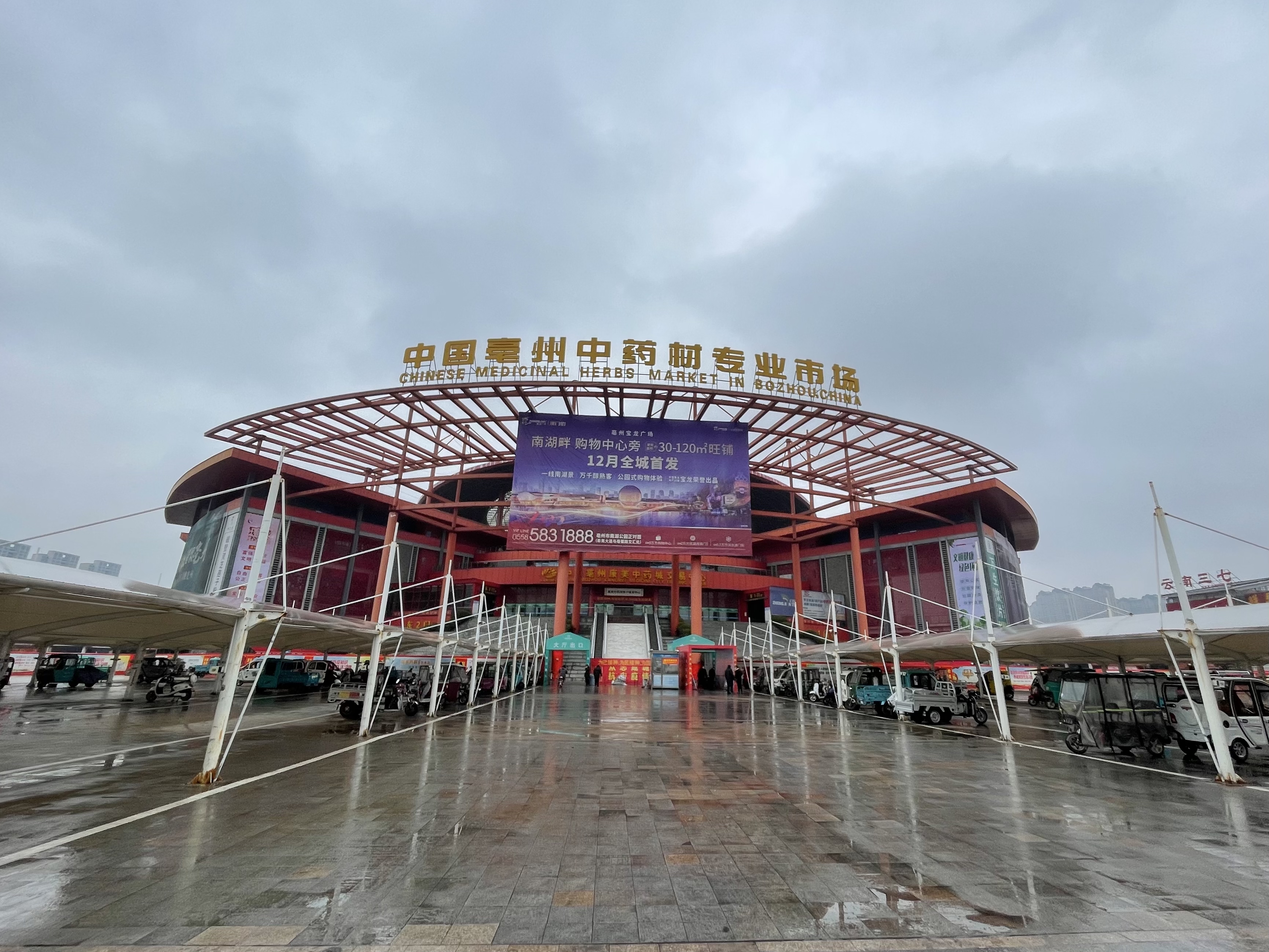 中药股暴涨行情能否持续?记者实探亳州中药材市场