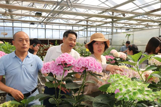 陕西省花卉产业体系首席张延龙教授受邀参加中央广播台"中国乡村之声"