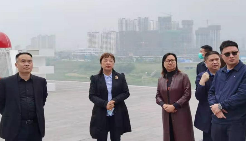 马宗慧副市长调研江阳区天府旅游名县创建工作
