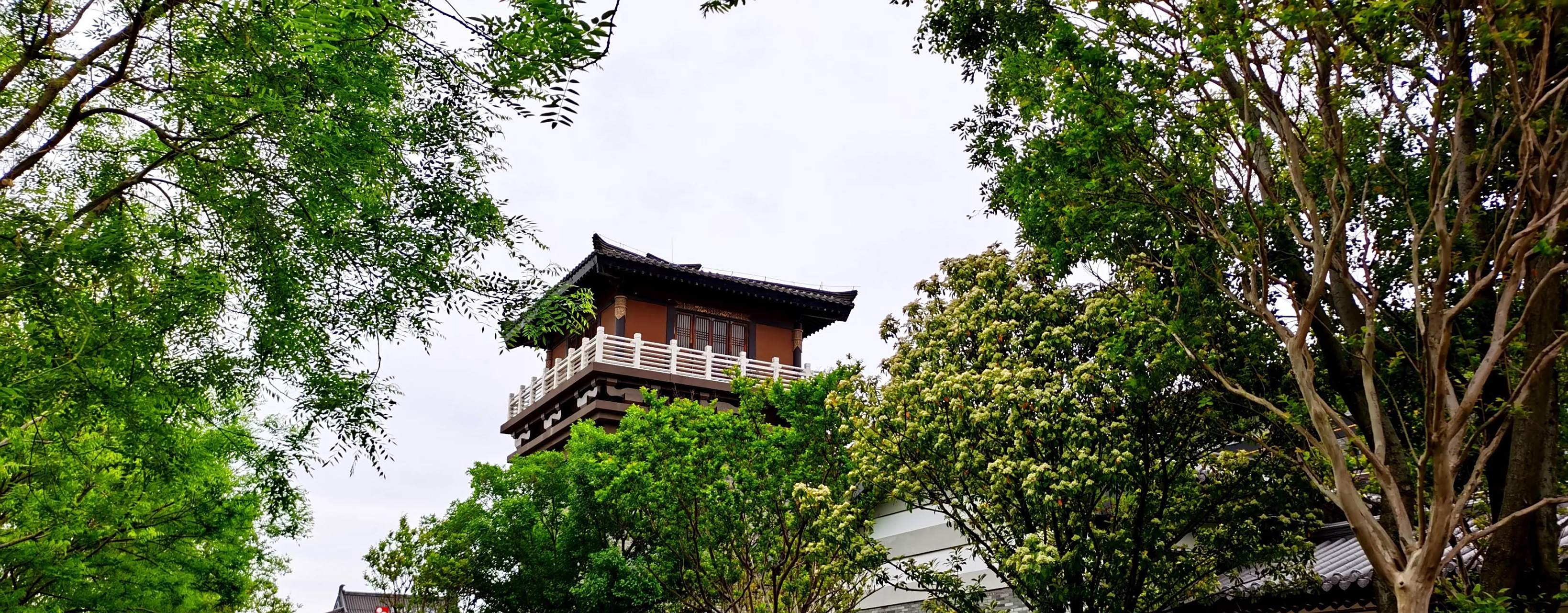 今天来到了郯城县,本想进去看一看郯国古城什么样子,结果吃了闭门羹!