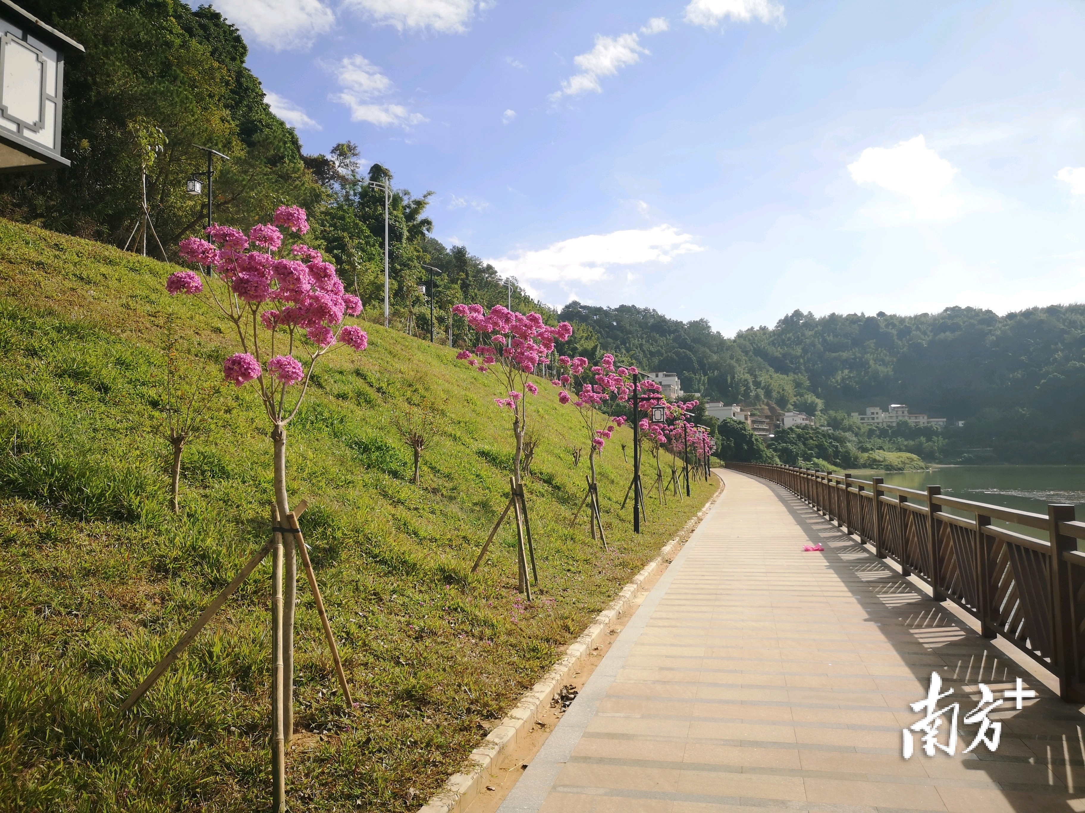 超级养眼!郁南千官云霄水库碧道"上新"