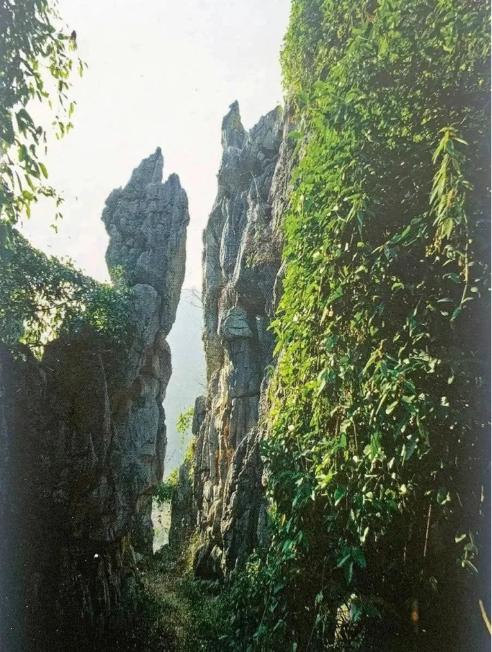 看"浙"景区发展 三衢山4a到5a的华丽蜕变值得探索