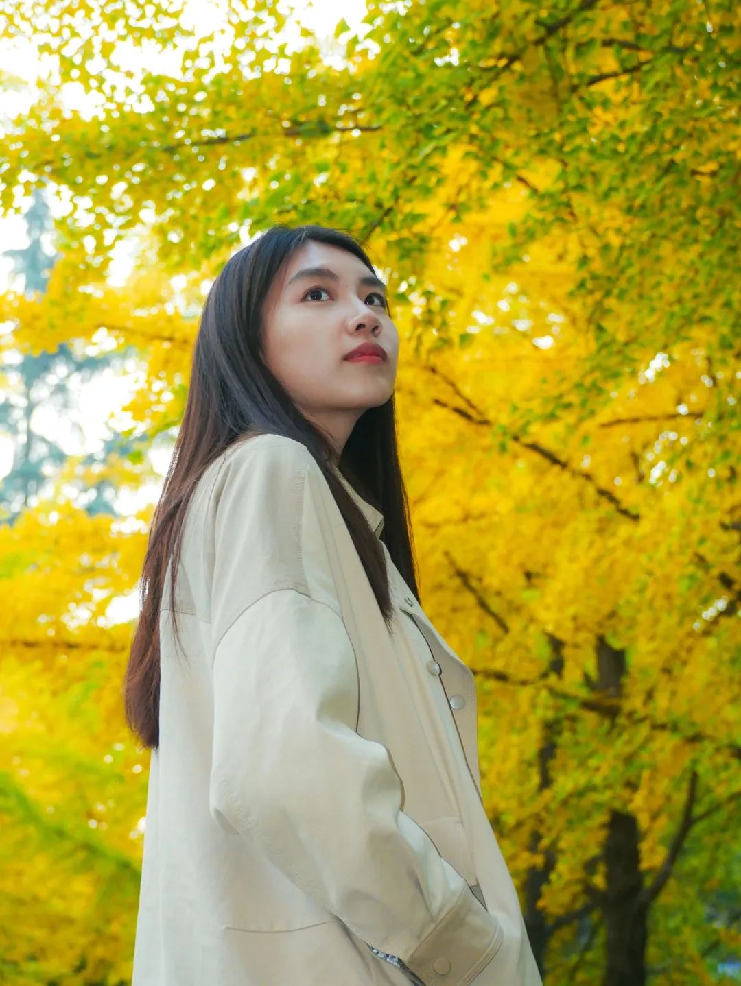 抓住秋的小尾巴