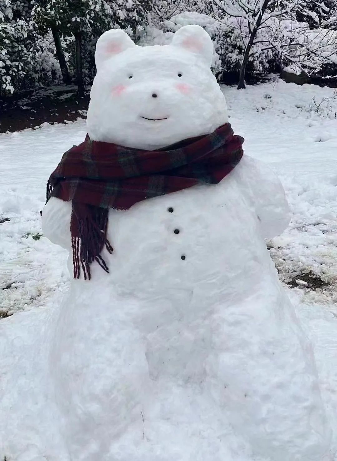 郴州人 朋友圈堆雪人大赛正式开赛