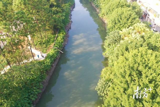 水活,河畅,景美!新会会城河重现城市"烟火气"