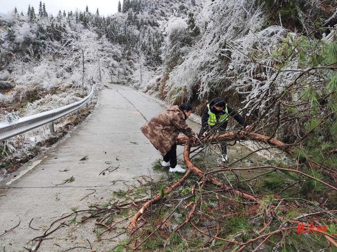 临武县水东镇:日以继夜抗雪除冰保畅通