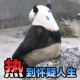 高温暴雨双预警来袭_超40度高温来袭_高温黄油600度到800度
