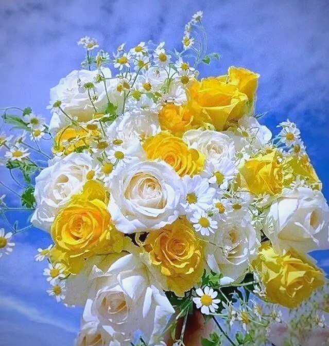 里尔克与玫瑰:爱情,哲学与诗的交响曲