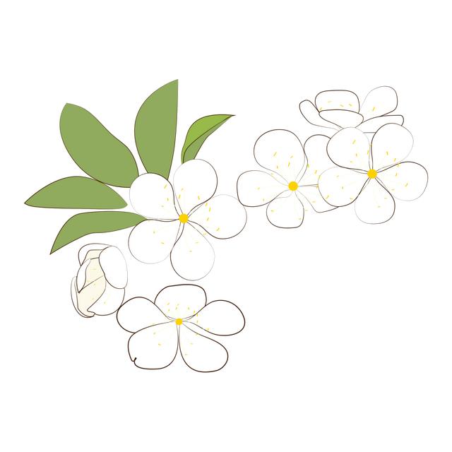 绵广一体化 ‖ 苍溪赏梨花目的地——梨文化博览园