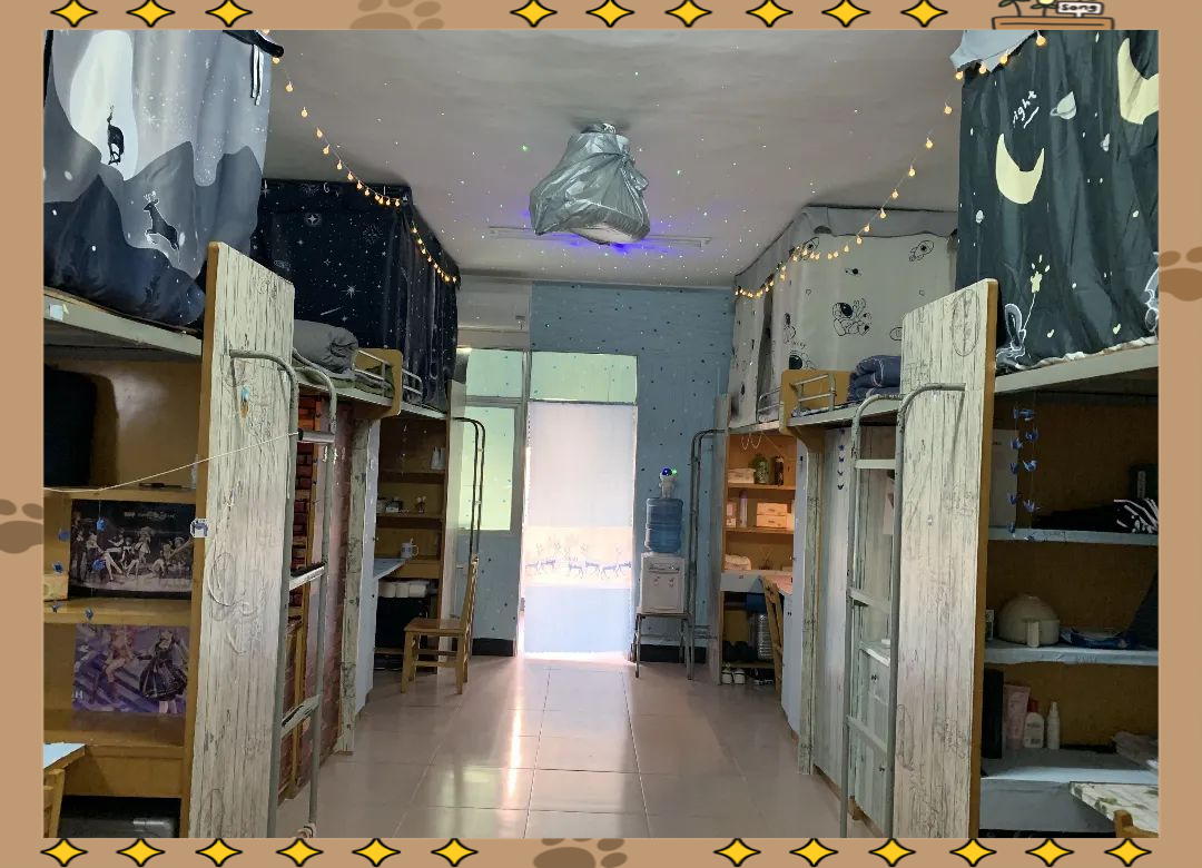 寝室美化大赛:打造出属于自己的温馨小家