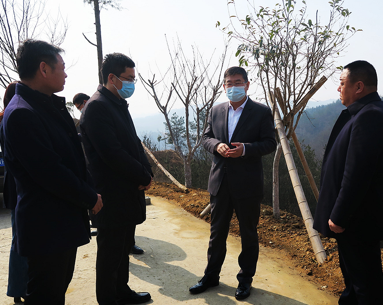 县委书记徐江博到试马调研秦岭山水乡村建设,春耕生产等工作