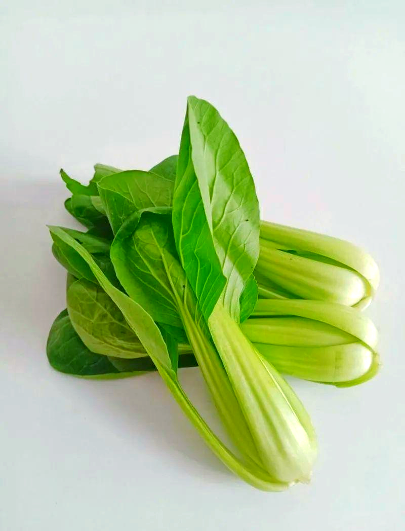 小青菜发芽出苗时间及种植技巧指南