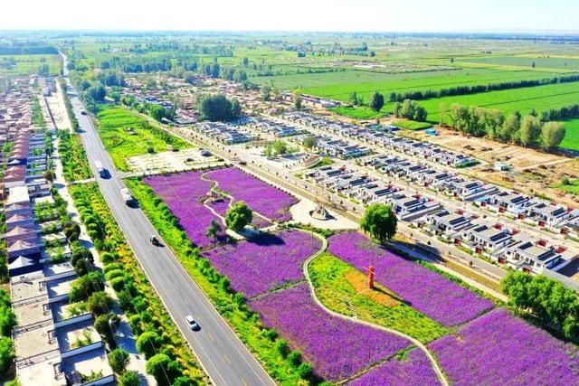 高台县南岔村:彩虹村庄夏意洽浓 乡村旅游正当时