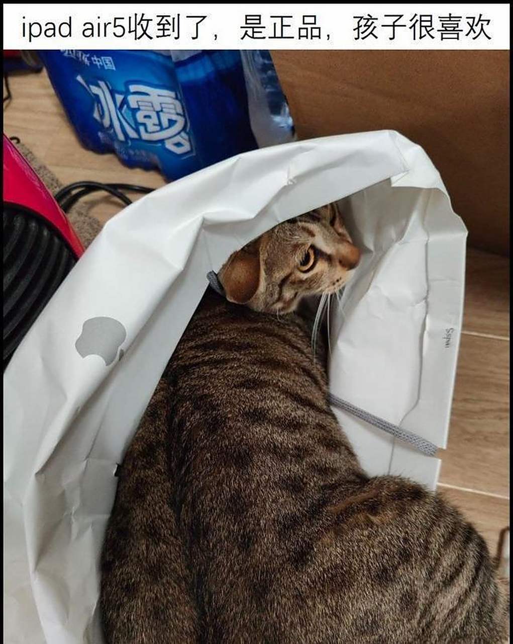 一些强迫症治愈图