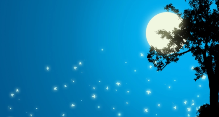 星月相随的优美古诗句