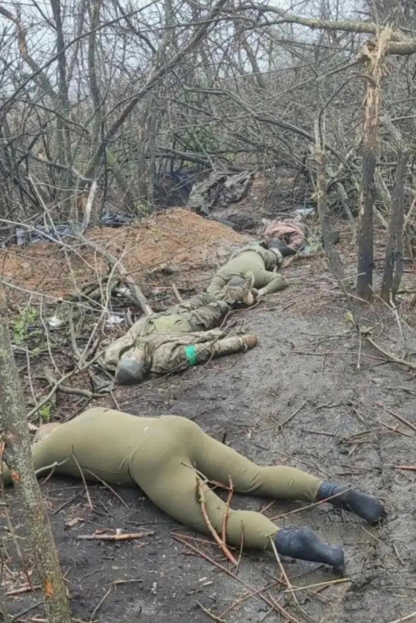 这张照片拍摄于乌克兰战场上,4个乌克兰士兵被打死后躺在荒地上,没有