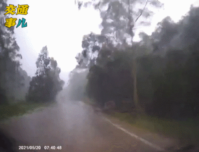 一组动图警示你:别拿生命开玩笑,时机不对莫超车!