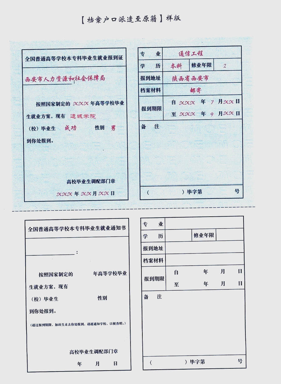 毕业生派遣与报到证办理详解及案例分析