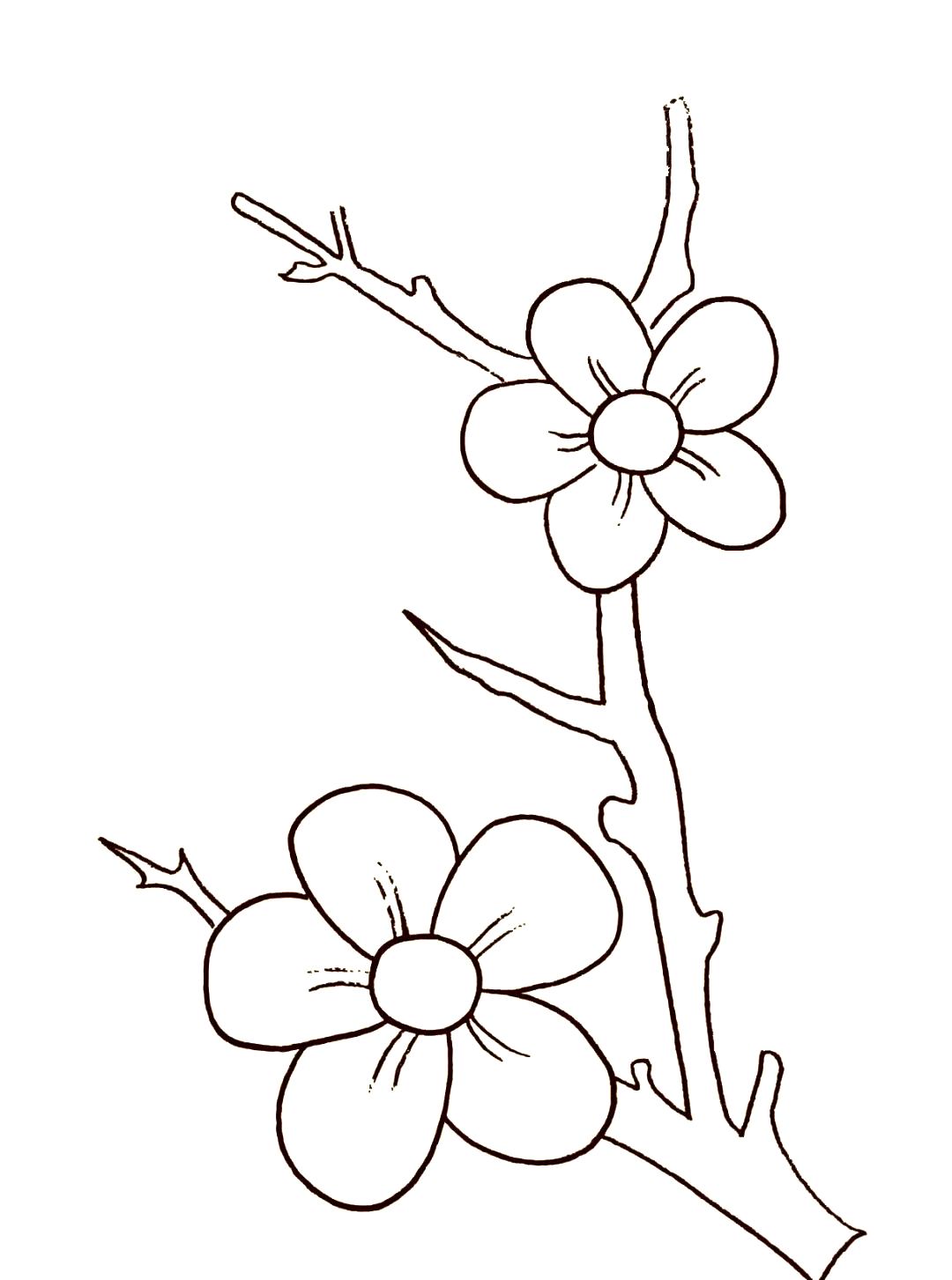 相关内容:简笔画教程