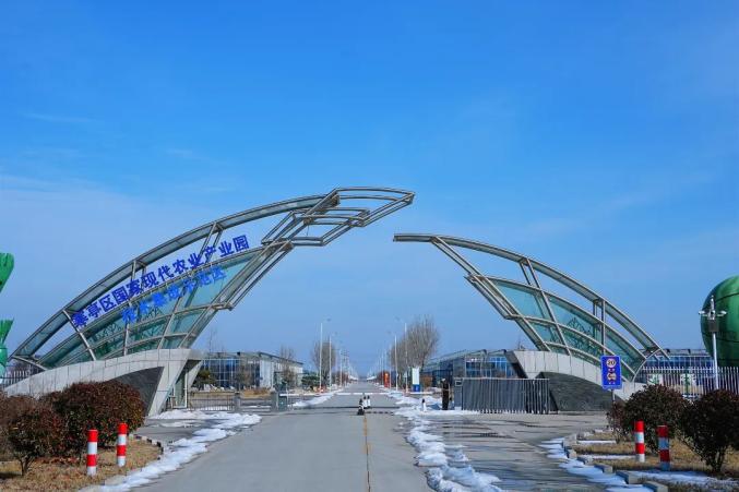 拼经济 强农业 促发展 | 潍坊市寒亭区固堤街道:赋能现代农业"新引擎"