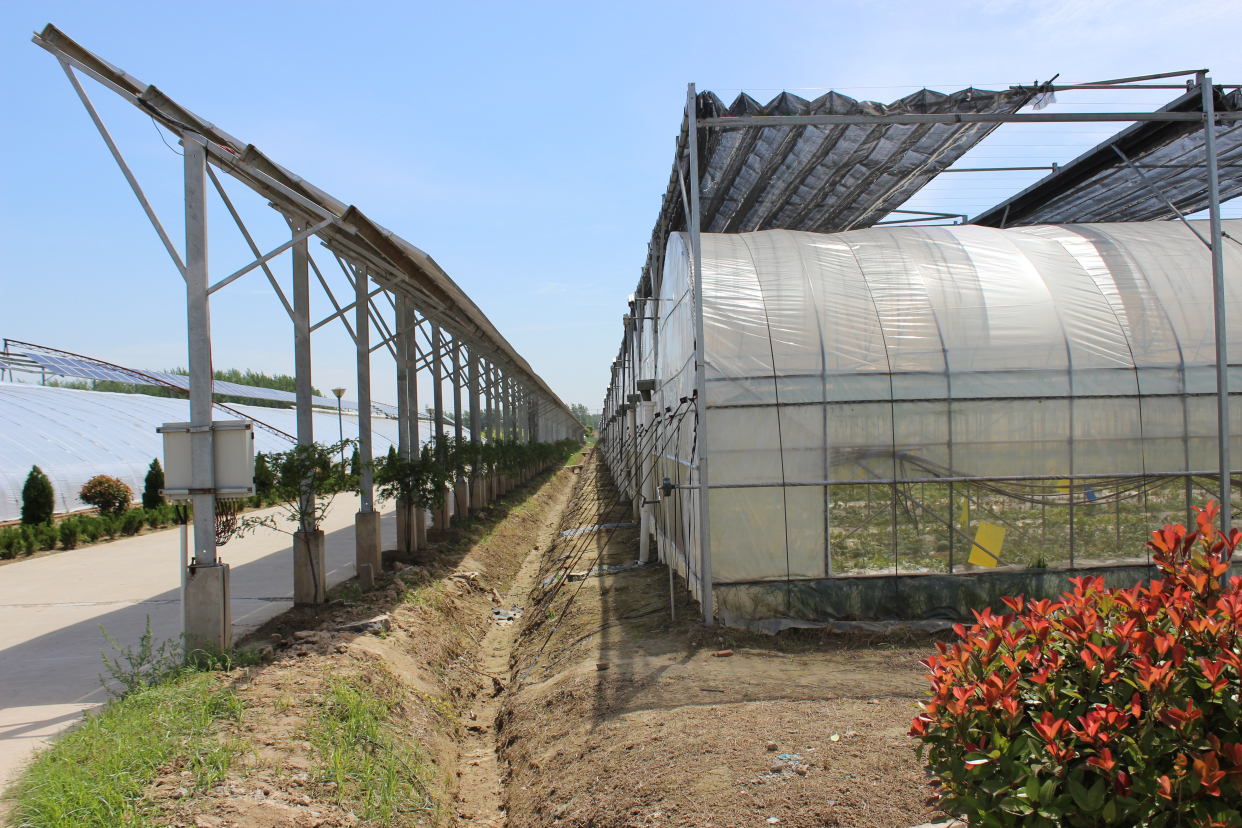 连栋温室大棚厂家:如何清洁玻璃温室