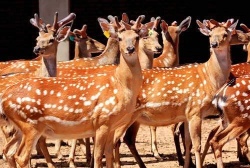 2022新征程,养殖创富我先行