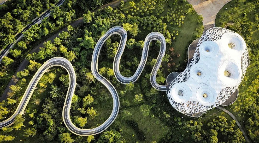 礼嘉智慧公园 颜永建 摄