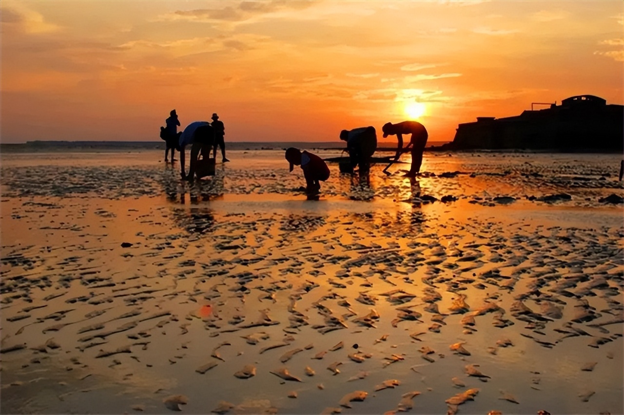 逃离酷夏,向威海荣成石岛出发
