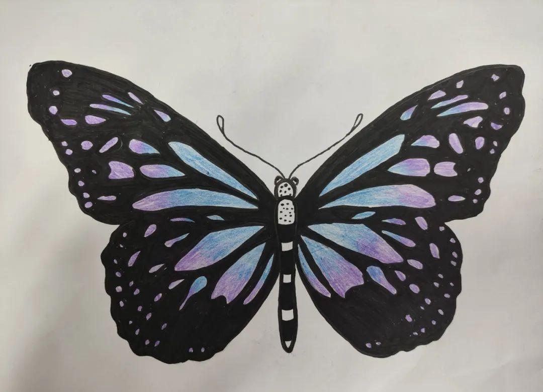 感受数学之美,淇县太行中学轴对称图形设计大赛精彩回顾