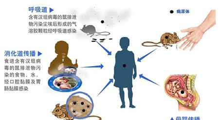 突发 西安再现新冠确诊病例