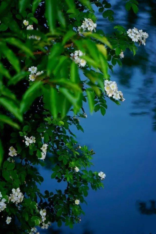 上游夜雨