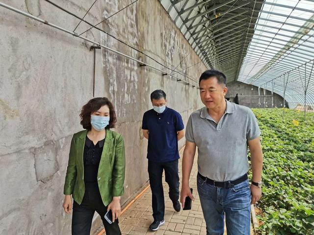 市委组织部长蹇丹到大台山果树农场调研指导壮大村集体经济工作