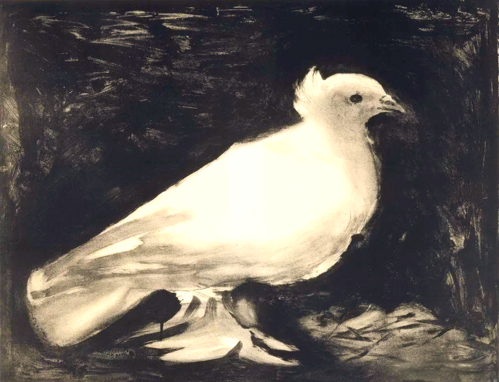 1949年尽管毕加索并不认为这幅描绘鸽子的作品是他创作的巅峰之作,但