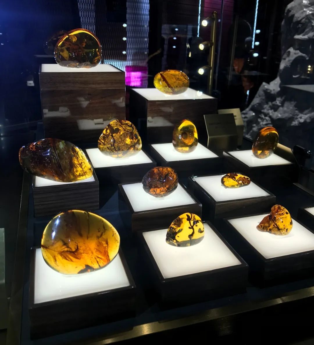 世界名画,珍稀琥珀……小松带你逛进博,领略"极具价值"展品|进博的热