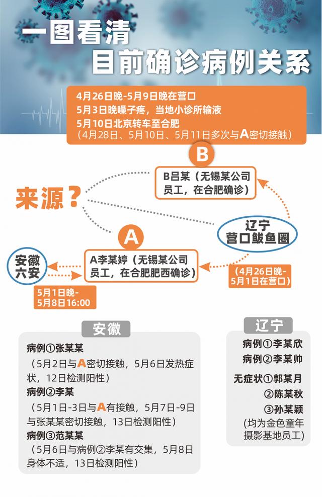 一图看懂|营口,六安现有确诊病例之间关系:感染可能在何时何地发生?