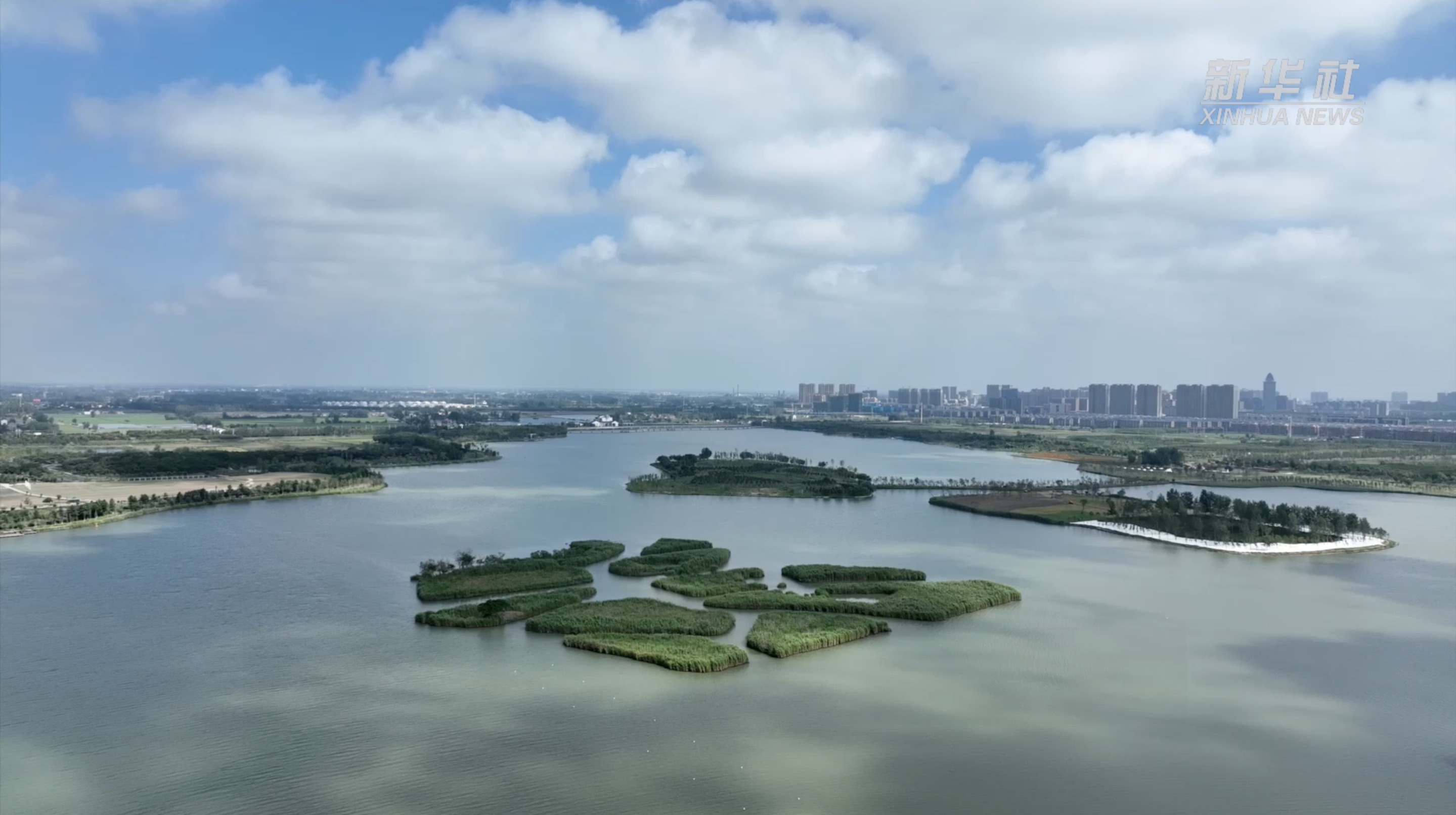 江苏盐城:"护线爱鸟" 共建绿色家园