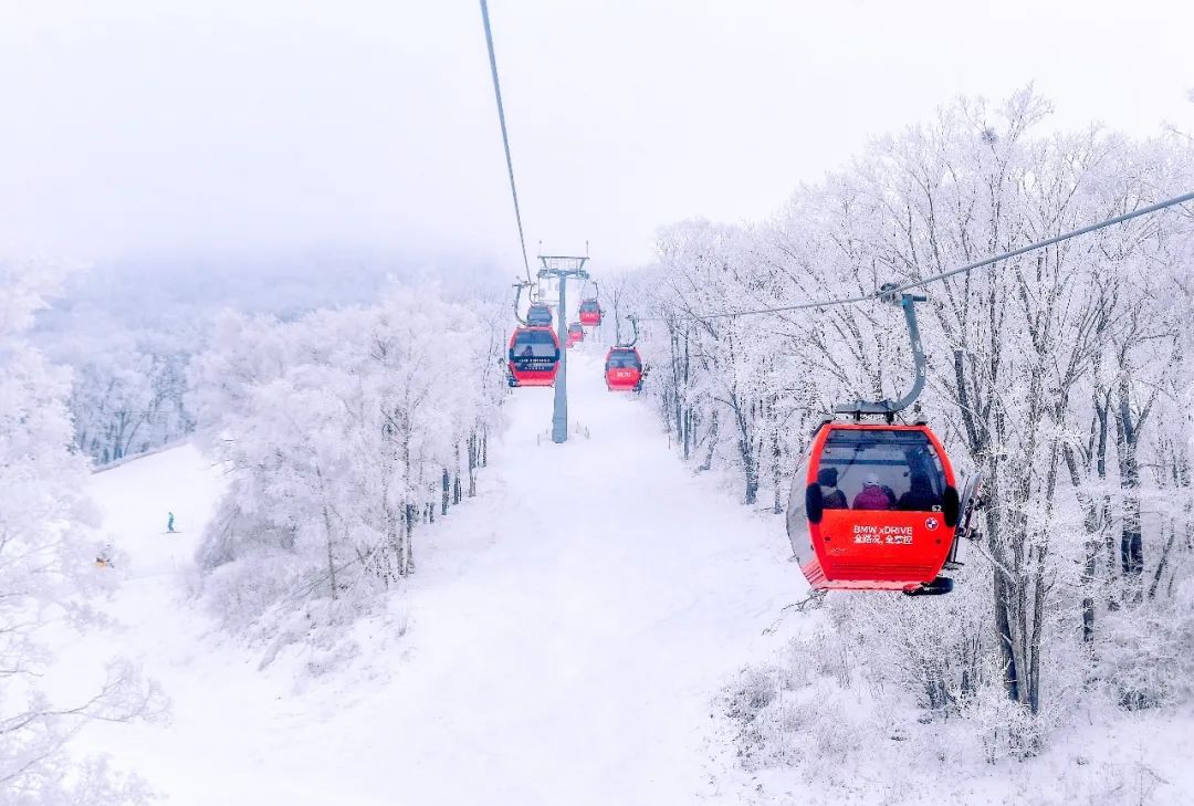 和平精英冰雪運動玩法上線聯手鬆花湖帶來重磅福利