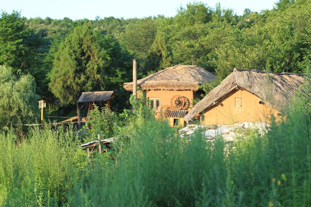 周立红(辽宁):心头涌出的那股清泉