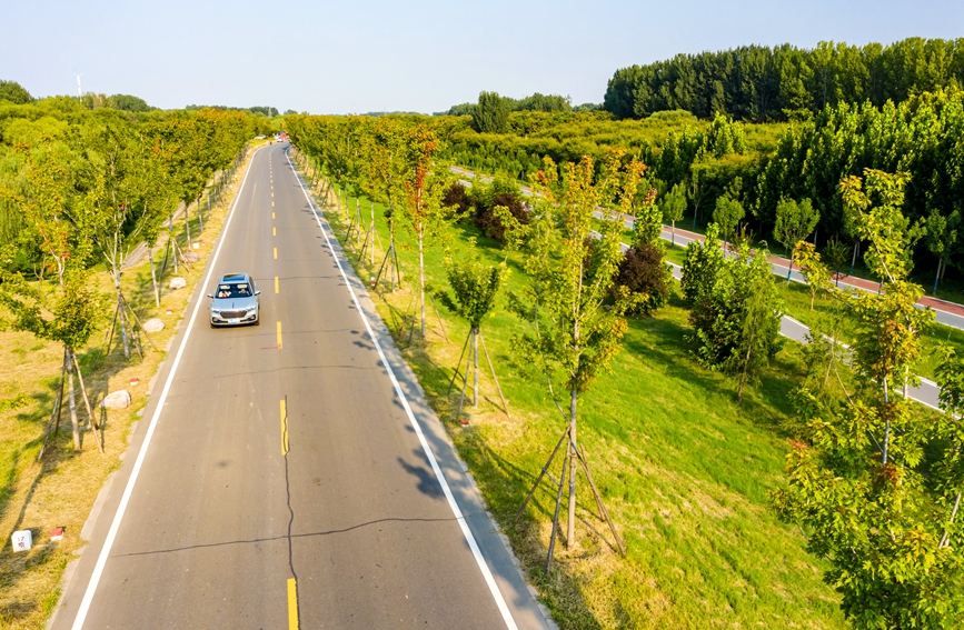 建好沿黄生态廊道 打造绿色生态家园