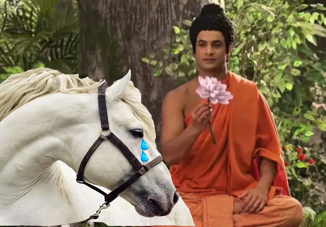 释迦牟尼:我离开王宫出家之前,说了一段话,白马也被感动流泪