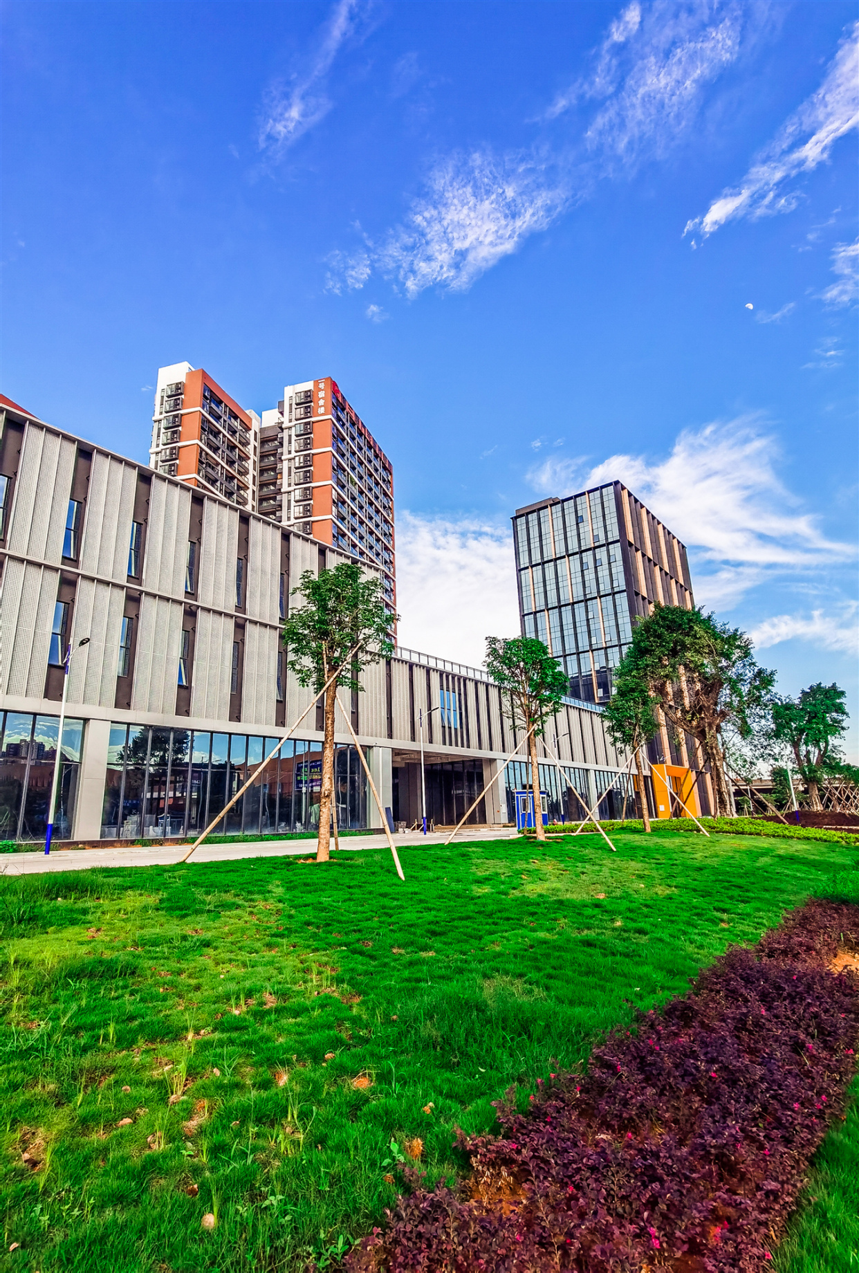 东莞麻涌这个园区好美,每一张都巨好看