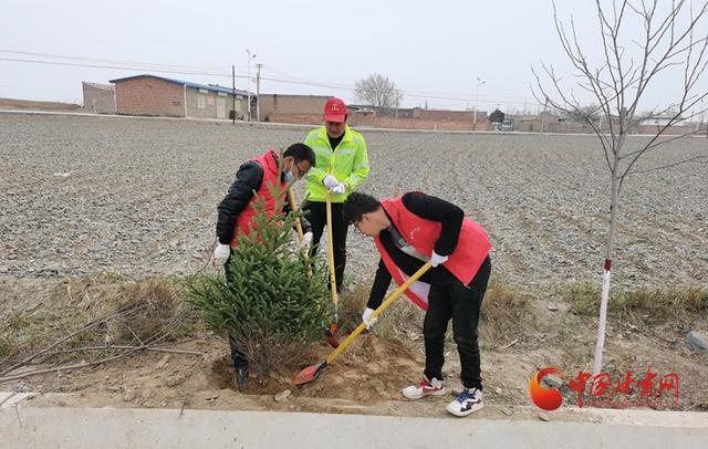 靖远高湾镇:按下植绿"快进键"