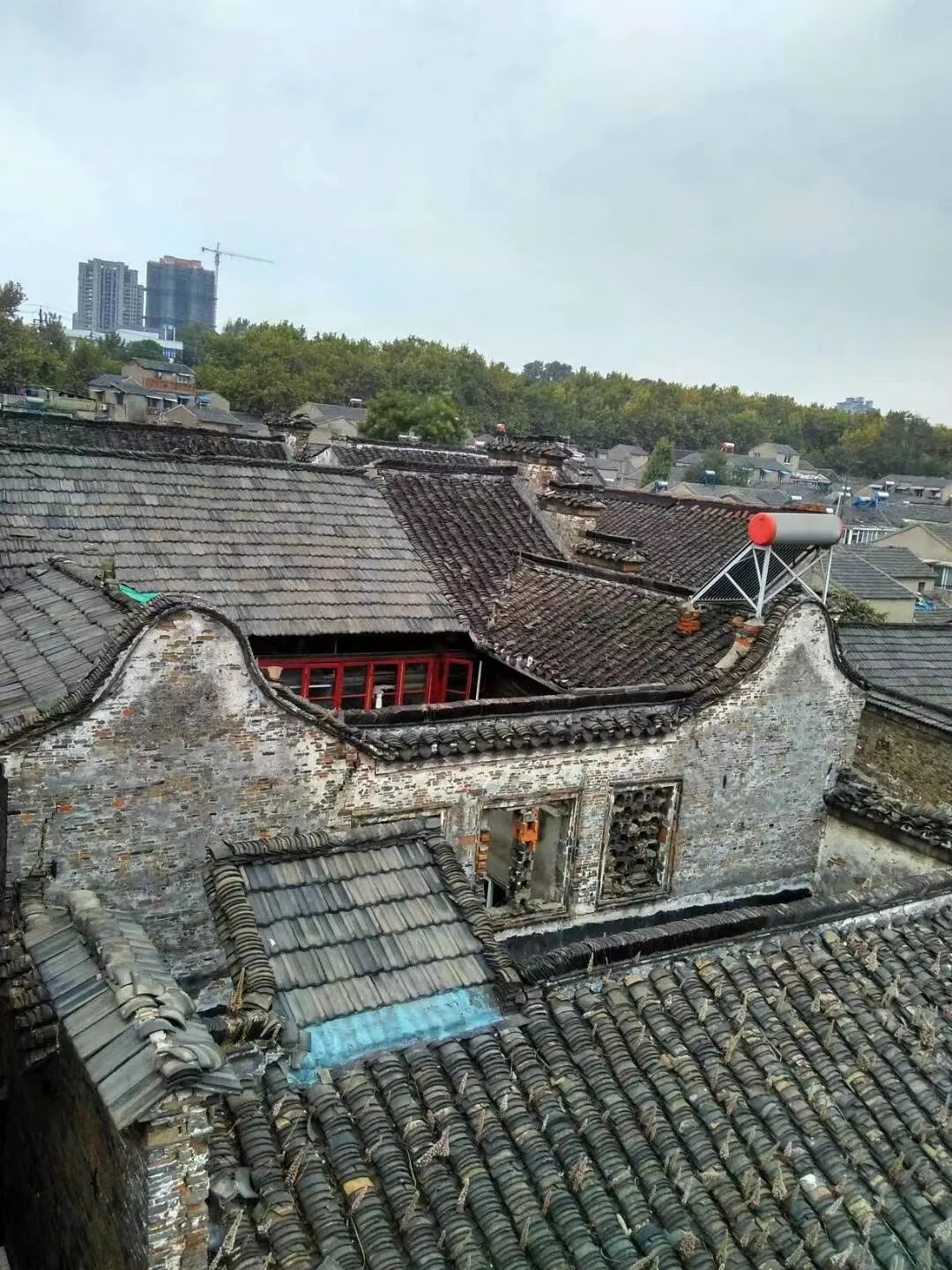 镇江"杨家门"往事(一)