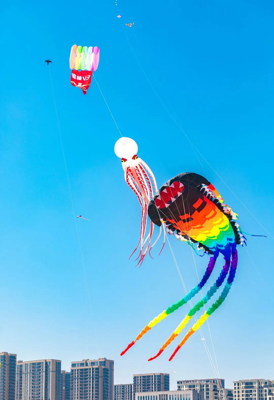 风筝 1080_1573 竖版 竖屏