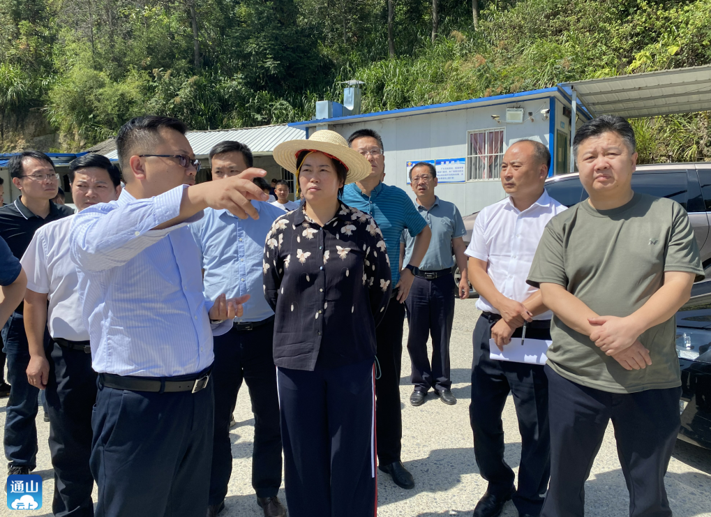 谭海华来通山督导生态环保督察交办信访件办理情况