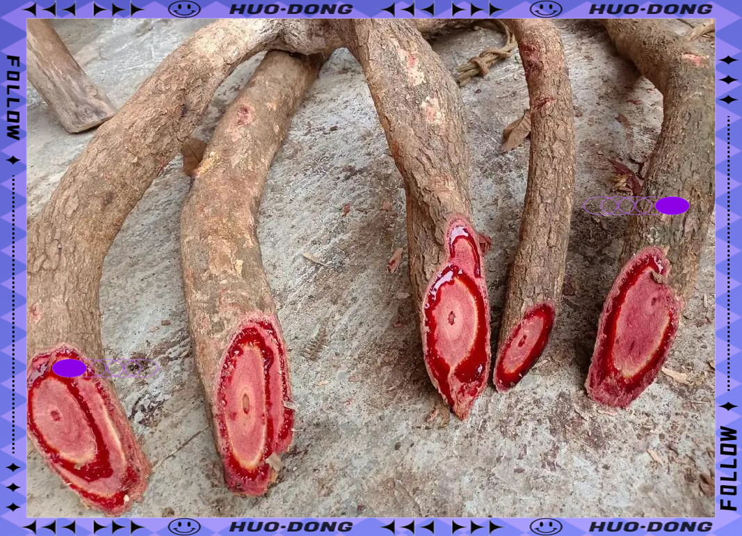 的丰富功效与多种食用方法