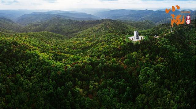 罗川古城载千年历史 子午烟雨映诗画正宁
